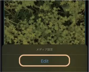 14@2x