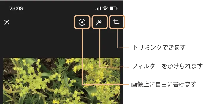 15@2x